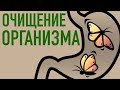 ОЧИЩЕНИЕ ОРГАНИЗМА - процедуры, рецепты, тонкости (1 часть)