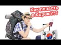 Как пройти границу Кореи? Паспортный контроль. Таможня Кореи.