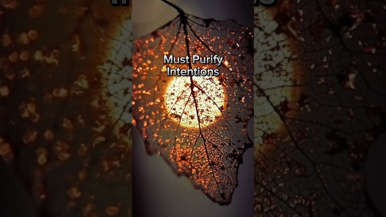 6 Tips to Strengthen Your Muslim Faith 