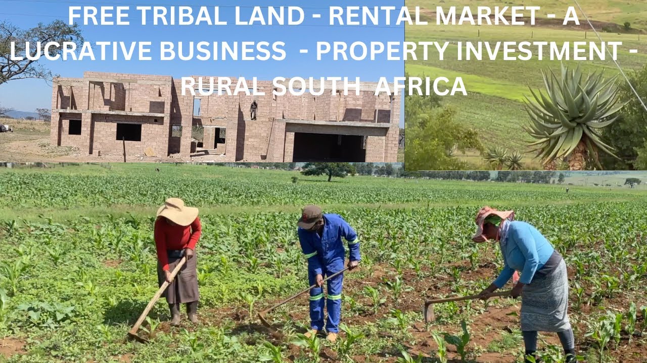 TRIBAL LAND FOR RENT FARMING A LUCRATIVE BUSINESS PROPERTY INVESTMENT RURAL SOUTH AFRICA