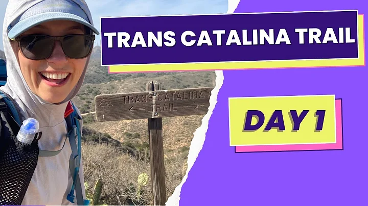 Backpacking the Trans-Catalina Trail - So many Bison! - Catalina Island - Day 1