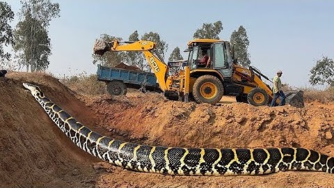 JCB 3dx xpert Loading Mud in Mahindra 475 Di tractor JCB miti khudai work JCB video #jcb #jcbkhudai