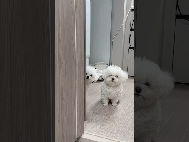 화장실좀 ..
