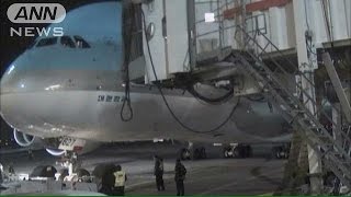 ナッツリターン　NY空港　当時の機体の映像公開(15/01/21)