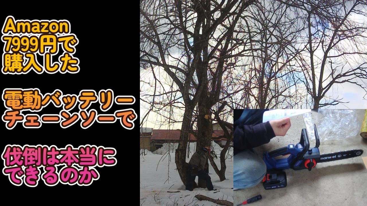 電動バッテリーチェンソーで伐倒はできるのか？