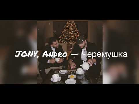 Andro feat. JONY — Черемушка (текст песни, караоке)