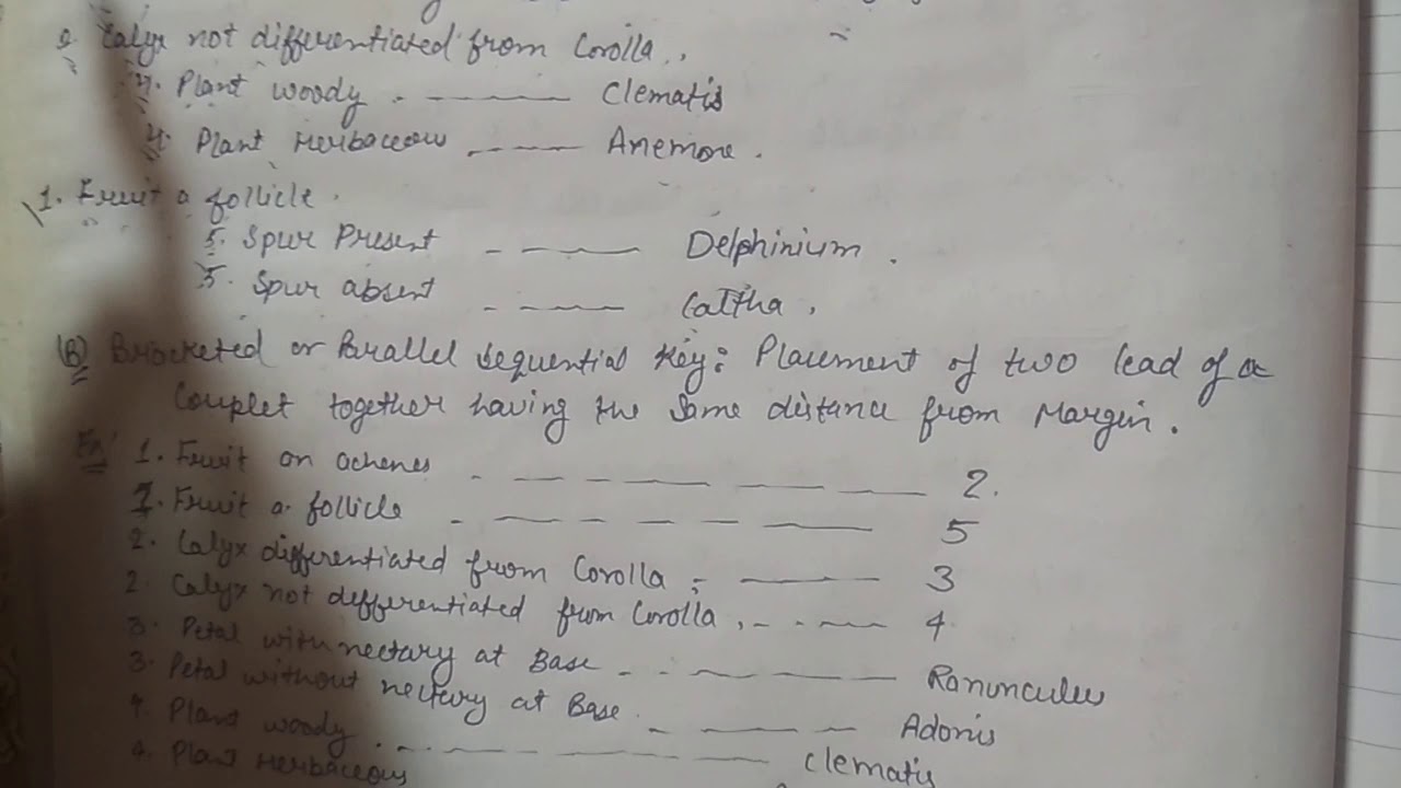 keys to identification of plant YouTube