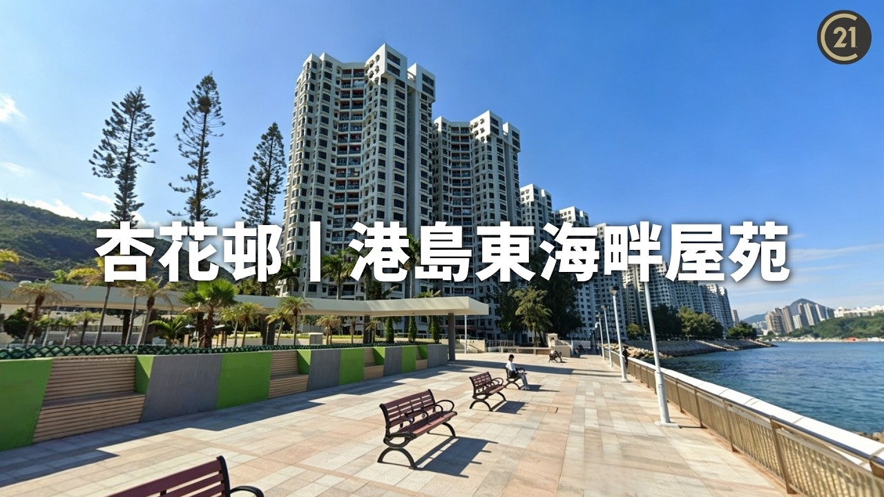 杏花邨|港島東海畔屋苑 配套環境全面介紹