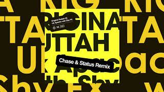 Video thumbnail of "UK Apache with Shy FX   Original Nuttah 25 (Chase & Status Remix Feat Irah)"