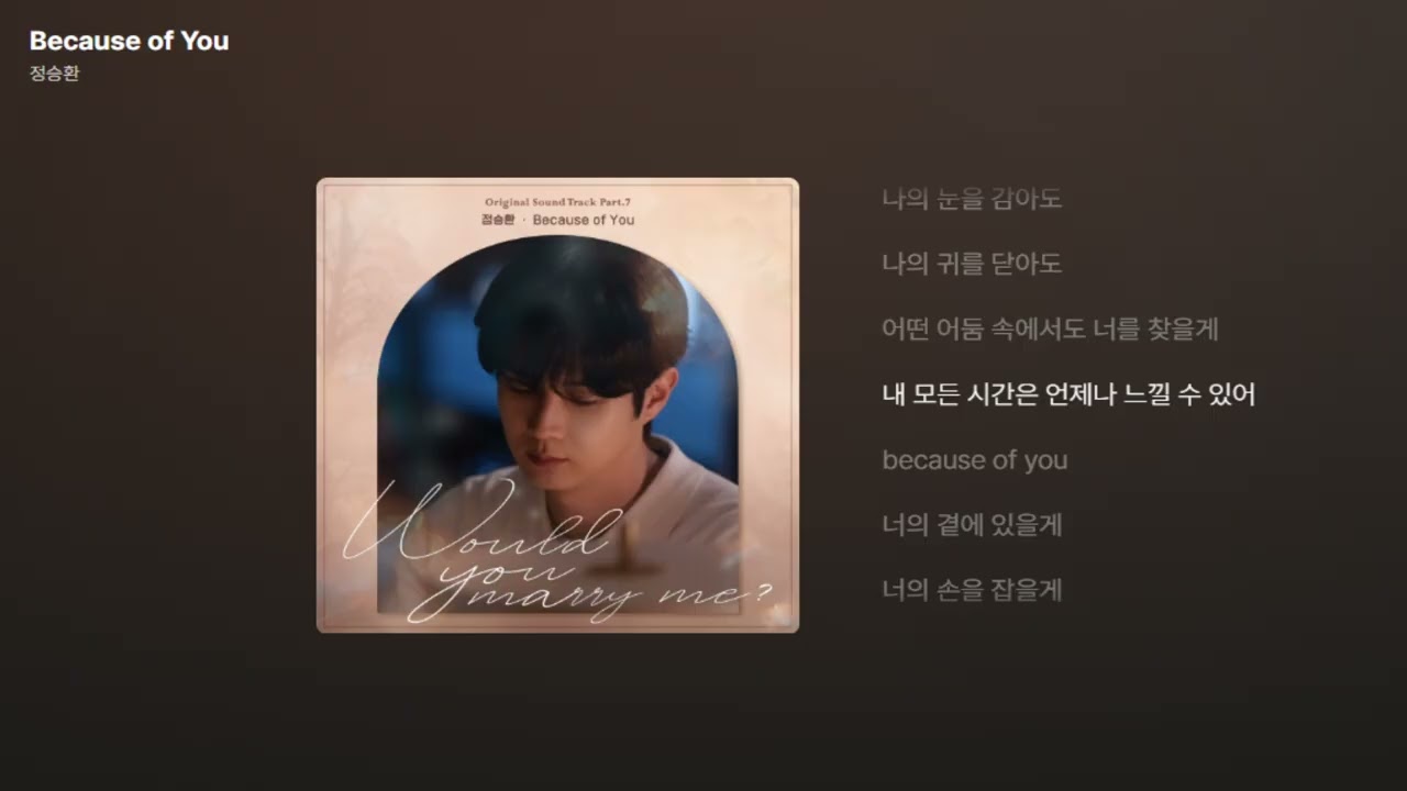 정승환 - Because of You [가사/Lyrics]
