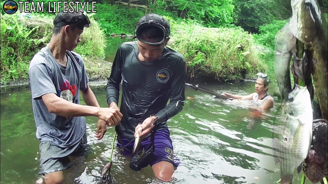 ep283-p2-lungga-ng-dalag-at-hito-pamamana-sa-ilog-youtube