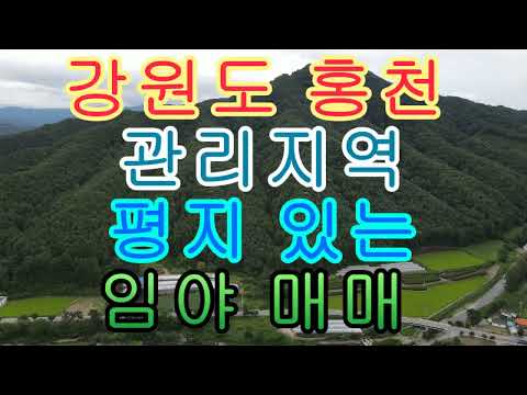 강원도 홍천 관리지역 평지 있는 <strong>임야</strong> 매매 186078(56288평)5억5천만