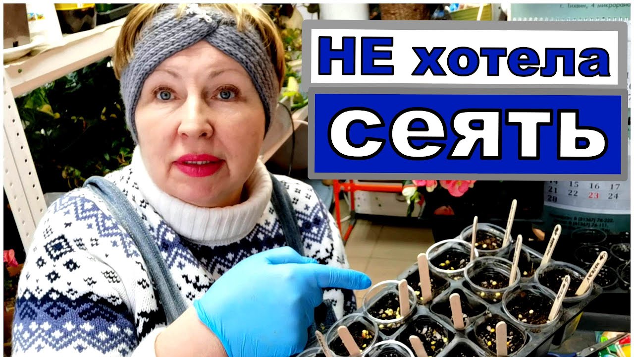 Не хотела сеять ПЕРЦЫ, подруги помогли. Мой способ посева 18 сортов ...