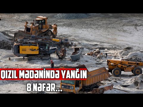 Video: Qızılmış file balığı yemək yaxşıdır?