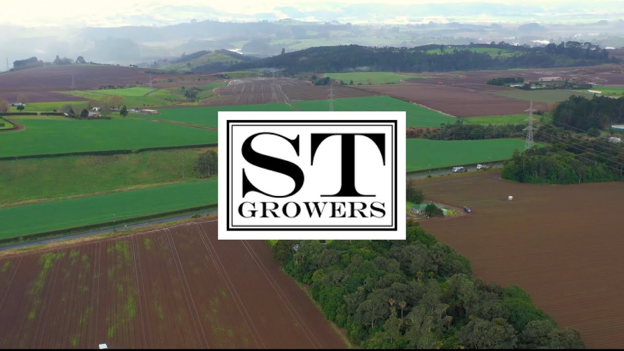 Cailu Vision Machine Optimizing Onion Packing: ST Growers + CAILU Vision™ - YouTube