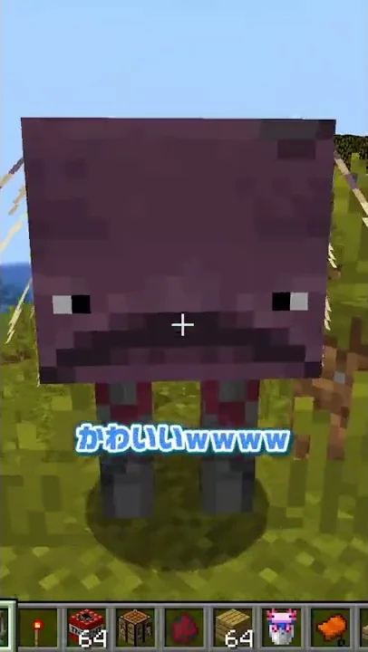 マイクラコマンド裏技