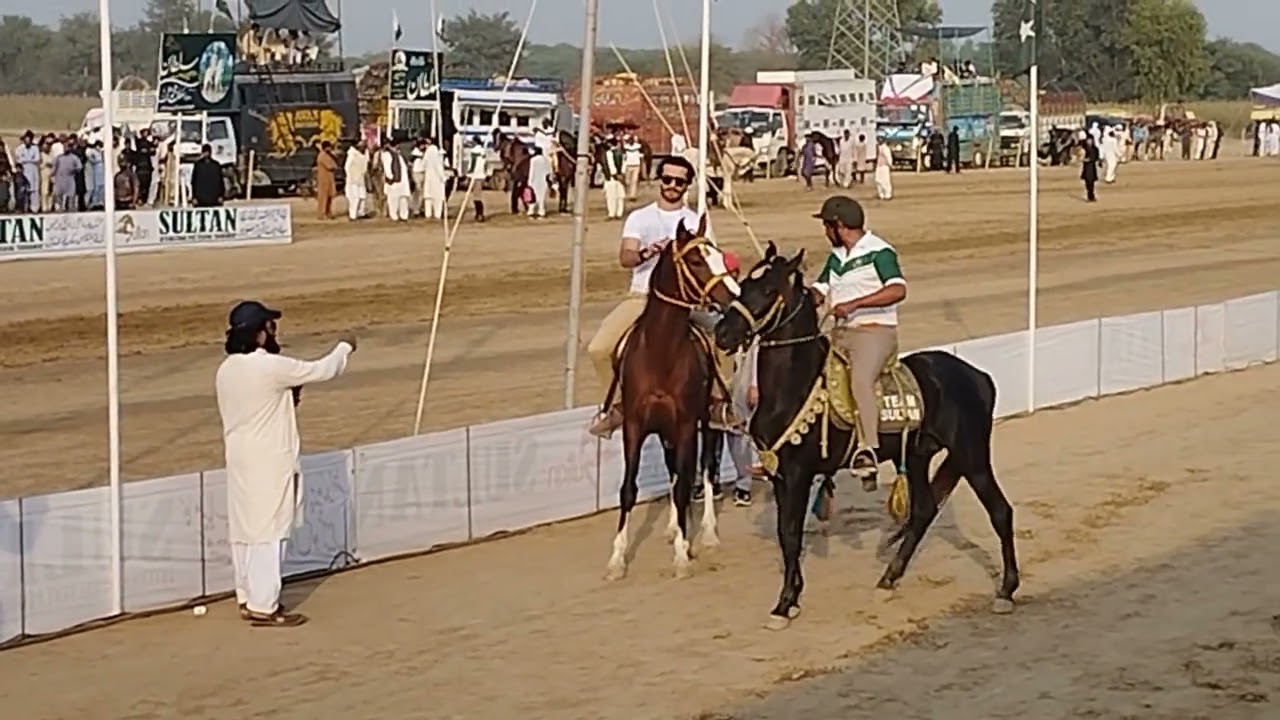 FEROZ KHAN| PAKISTANI DRAMA ACTOR| PARTICIPATION IN SULTAN INTERNATIONAL TENT PEGGING TOURNAMENT|.