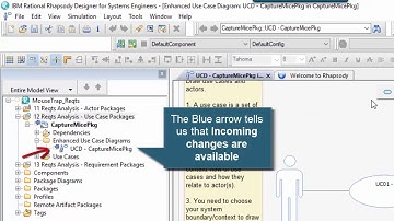 Rational Rhapsody Tip #44 - RMM 6.0.6 accept/deliver workflow and icons (Intermediate)