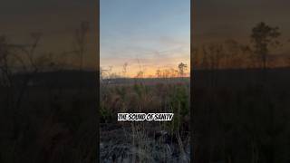 Watch Sanity Backroads video