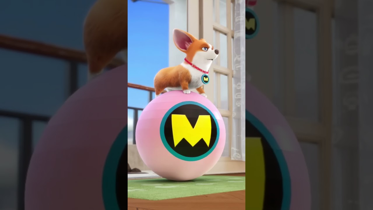 Moco dog cartoon status   New funny video   Moco and Yummy  