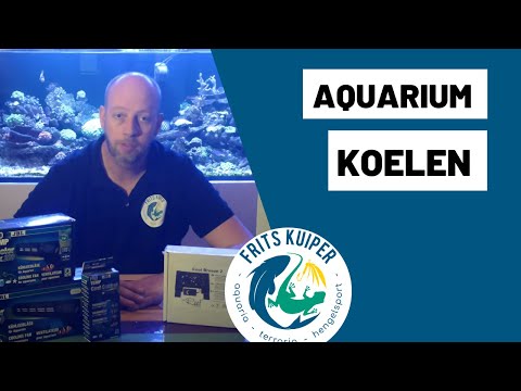 Video: Hoe U Uw Aquariumwater Kunt Koelen?