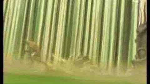 amv Code Lyoko spécial Odd