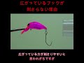 えさ釣りなどのラインとフックが直結なら少し広がっているのもあるんですがルアーフィッシング（シングルフック）では広がったフックは刺さらないんです理由はコレですえ#fishing #lure#ホース理論