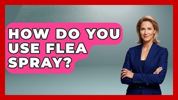 How Do You Use Flea Spray? - Insects and Invaders