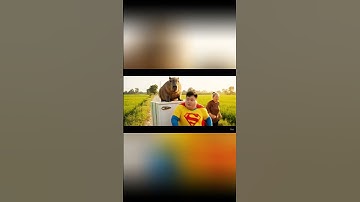 Capy cùng siêu nhân chở giúp bà cái tủ lạnh mới mua và cái kết #capybara