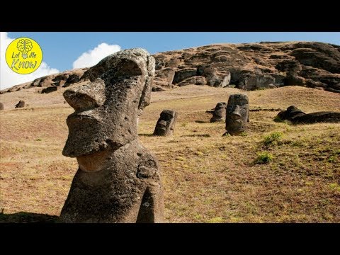 how-deforestation-caused-easter-island’s-society-to-collapse