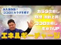 【ココロとカラダの癒し】膨大な生命力エネルギーをチャージして覚醒しよう！