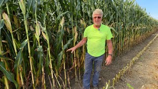 Farmer Ross S4E1 Combine repairs and corn harvest