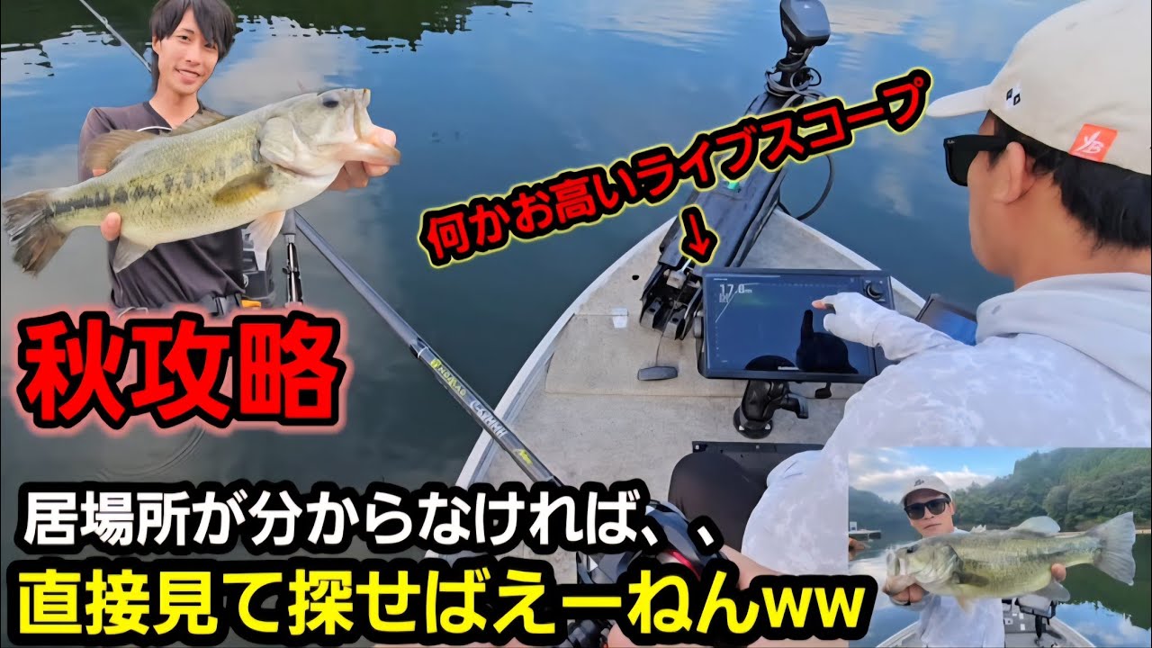 【秋攻略】秋爆！初めてきたダムがブラックバスのパラダイスだった【ライブスコープ】【大分バス釣り】【芹川ダム】【秋バス釣り】【サンカクコティーサン】【ノリーズ】【コイケ１７ミリ】【柳川クリーク】