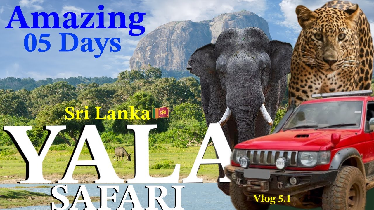 Yala Wild Safari Sri Lanka 5.1 | යාල ජාතික වනෝද්‍යානය| බංගලාවේ ඉන්න අලියා අපිට ඉන්න දුන්නෙම නෑ