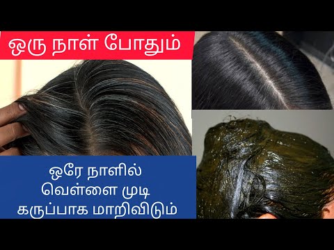 ஒரே நாளில் வெள்ளை முடியை கருப்பாக மாற்றும் Natural Hair Dye! #hairdye