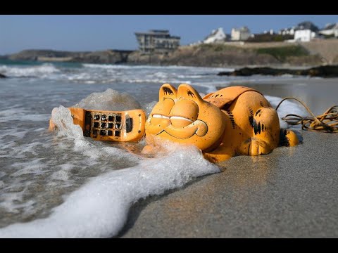 10 Strangest Things Washed Up on Beaches!