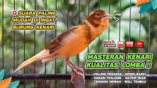 Kenari GACOR NGEREK‼️ Masteran Kenari PAUD dan Pancingan Kenari MACET BUNYI dan Betina NGIWIR - 64