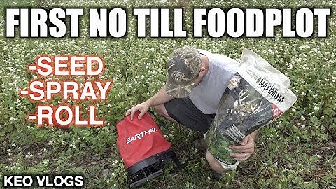 My First Attempt... No Till Brassica Foodplot