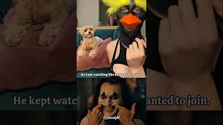 My Dog Saw My Costume And Wanted One Too dog viral algorithm