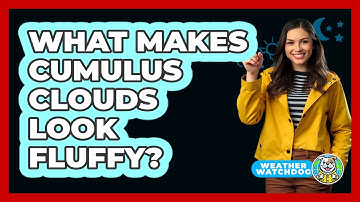 What Makes Cumulus Clouds Look Fluffy? - Weather Watchdog