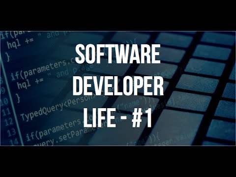 Questão 01 - Developer Life