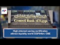 DNE News Brief: 14 December 2016