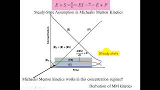 Enzyme Kinetics