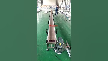 Maxsen plastic top chain straight running conveyor testing