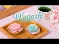 Hướng Dẫn Tạo Hình Nerikiri (Wagashi) Tuyệt đẹp | Hướng Nghiệp Á Âu