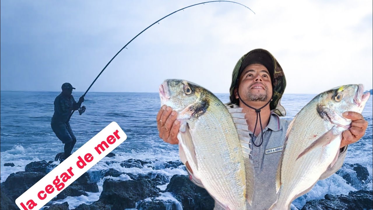 أخطر طعم لاستهداف أسماك زريقة العملاقة🦞