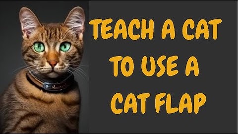 Teach A Cat To Use A Cat Flap