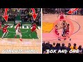 Why The 2019 Toronto Raptors Defense Was One of THE BEST! (Giannis Wall & Curry Box And One)