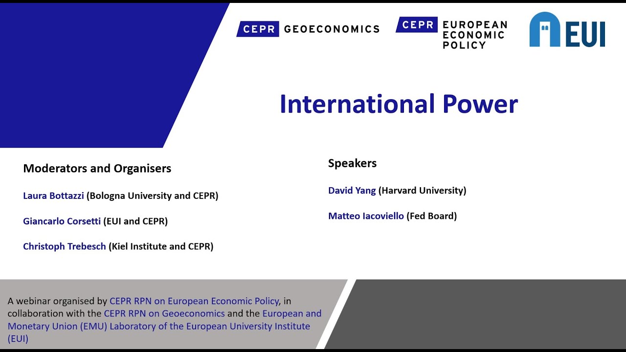 International Power - CEPR RPN European Economic Policy