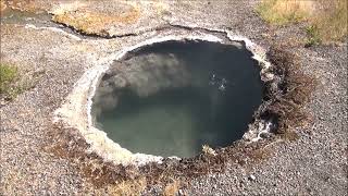 Broken Egg Spring (2025)